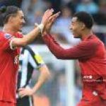 Toulouse vs Liverpool: Energi Cody Gakpo, favorit mencetak gol, performanya terus meningkat